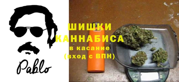мет Бородино