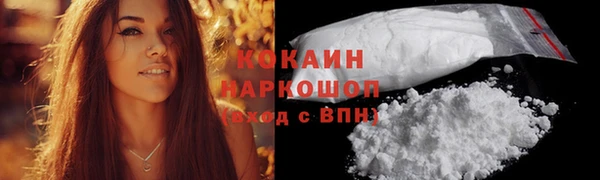 мет Бородино