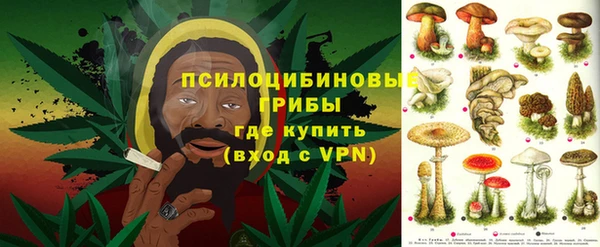 шишки Бугульма